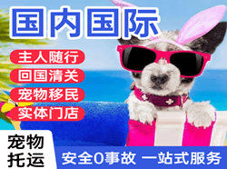 乌兰察布机场快运国际宠物托运 【国